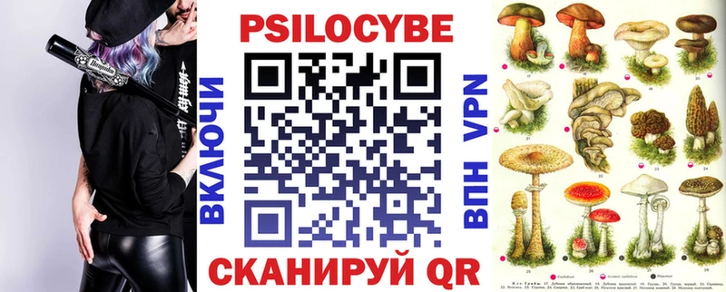 Галлюциногенные грибы Psilocybe  Михайловск 