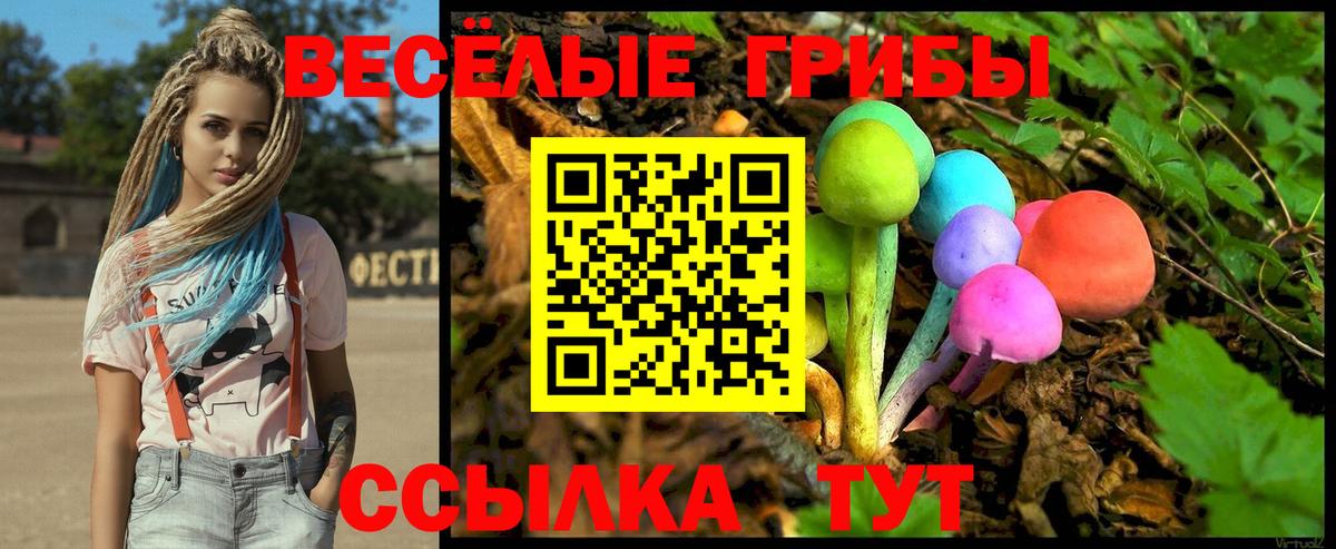 Псилоцибиновые грибы прущие грибы  Вход с VPN  Михайловск 