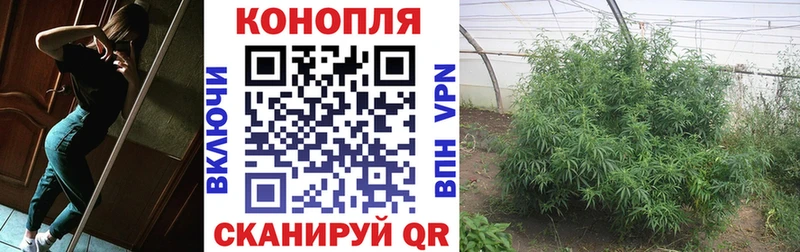 что такое наркотик Михайловск Бошки марихуана гибрид